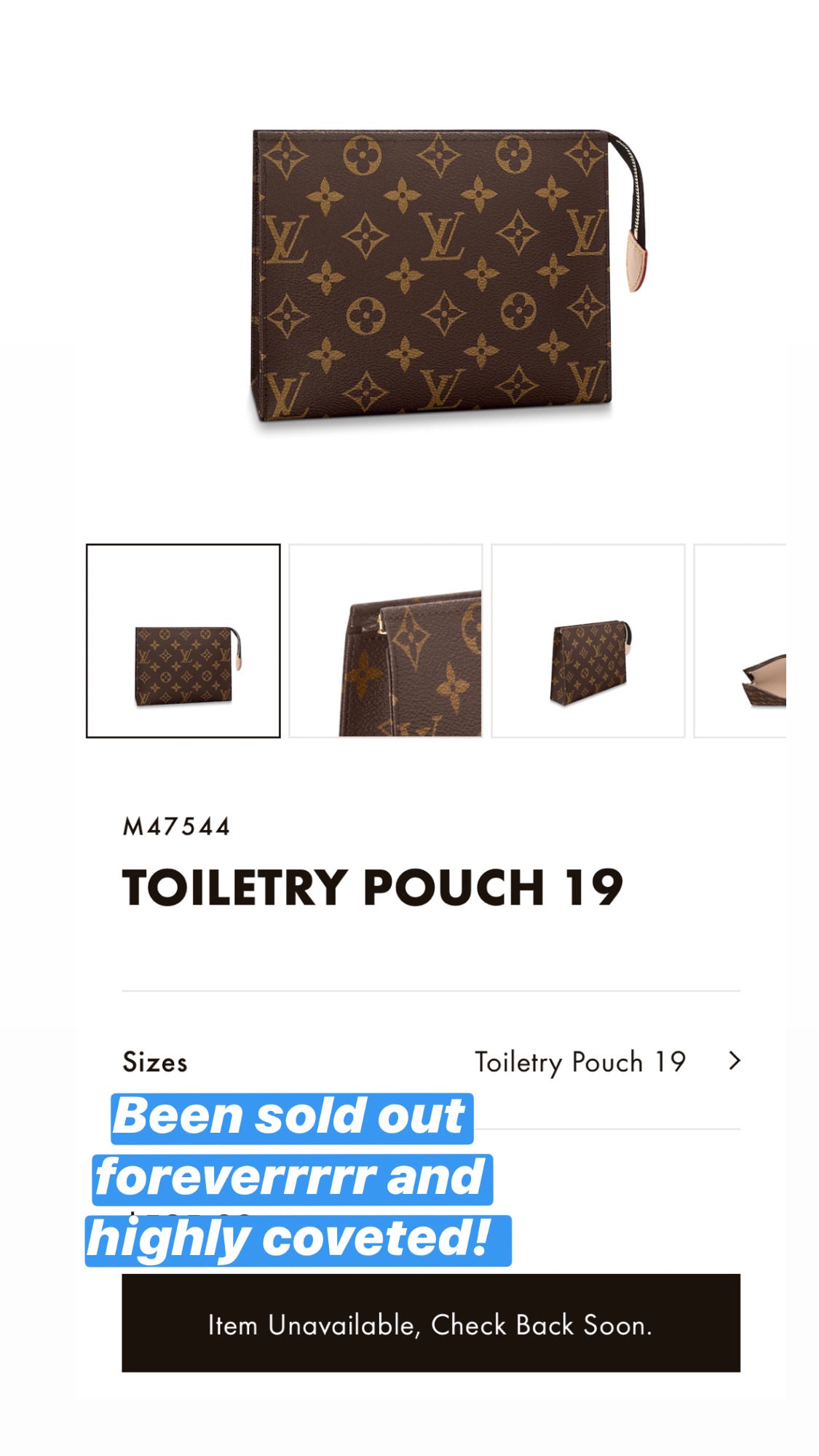 Lv Toiletry Pouch 19 Size 100